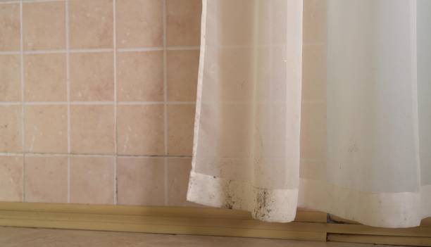 Best Dehumidification Services  in Macungie, PA
