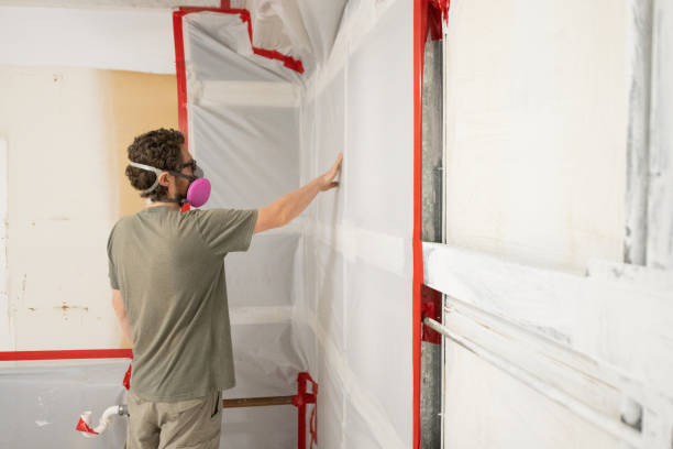 Best Attic Mold Removal  in Macungie, PA