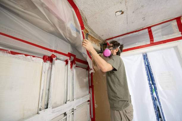 Best Mold Odor Removal Services  in Macungie, PA