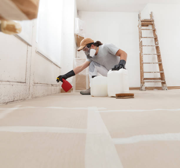 Professional Mold Removal in Macungie, PA